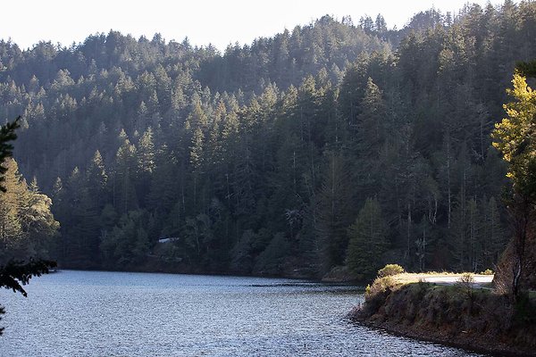 B66A5862 - www.scout911.com B66A5862 - www.scout911.com