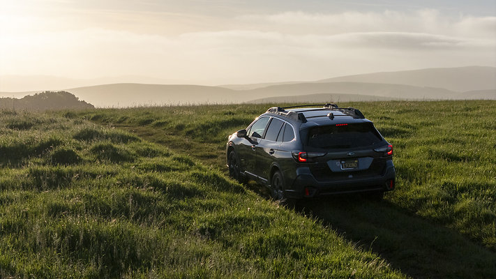 DJI 20250428191053 0039 D - default DJI 20250428191053 0039 D - default