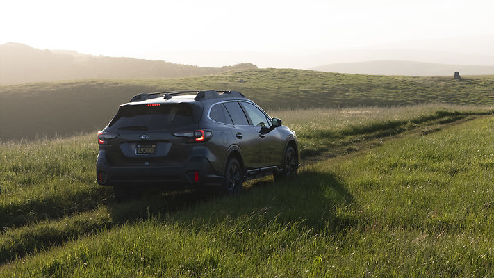 DJI 20250428190646 0036 D - default DJI 20250428190646 0036 D - default