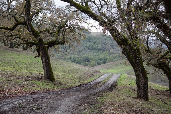 mcisaac ranch mcisaac ranch