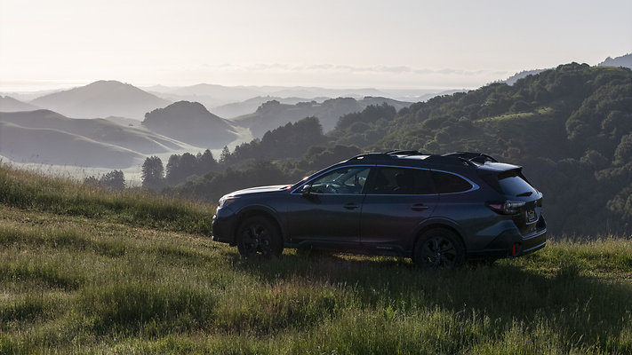 DSC02606dji - default DSC02606dji - default