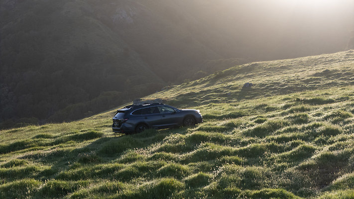 DSC02617dji - default DSC02617dji - default