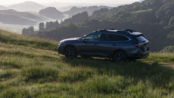 DSC02608dji - default DSC02608dji - default