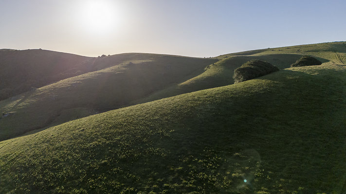 DSC02620dji - default DSC02620dji - default