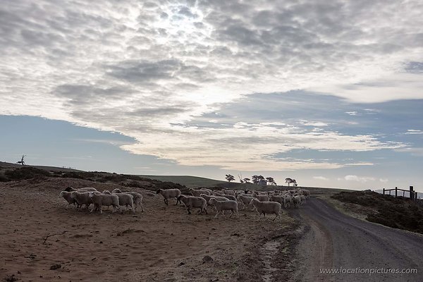 tomales ranch roads tomales ranch roads