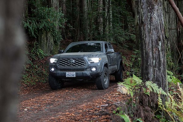 B66A0802 - www.scout911.com B66A0802 - www.scout911.com