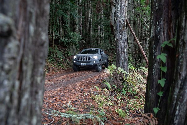 B66A0800 - www.scout911.com B66A0800 - www.scout911.com