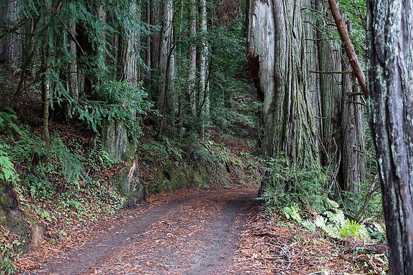 B66A0797 - www.scout911.com B66A0797 - www.scout911.com