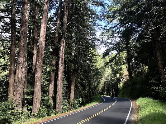 sir frances drake sir frances drake