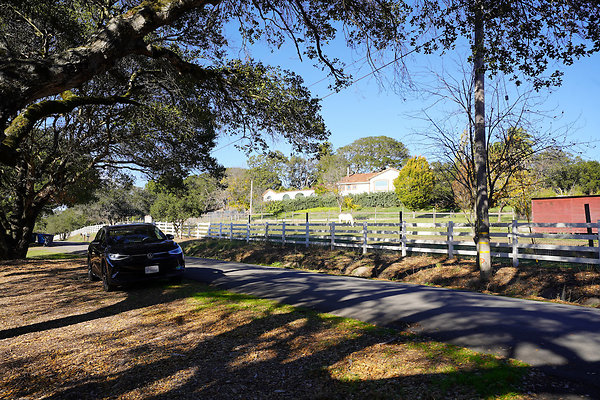 barichpetaluma - 51 barichpetaluma - 51