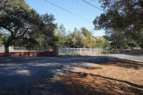 barichpetaluma - 52 barichpetaluma - 52