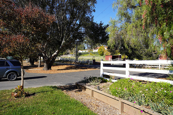 barichpetaluma - 9 barichpetaluma - 9