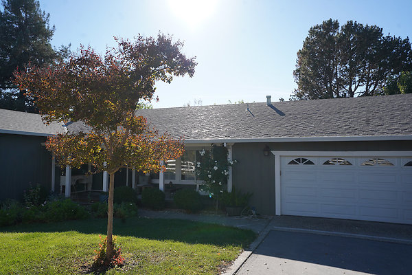 barichpetaluma - 3 barichpetaluma - 3