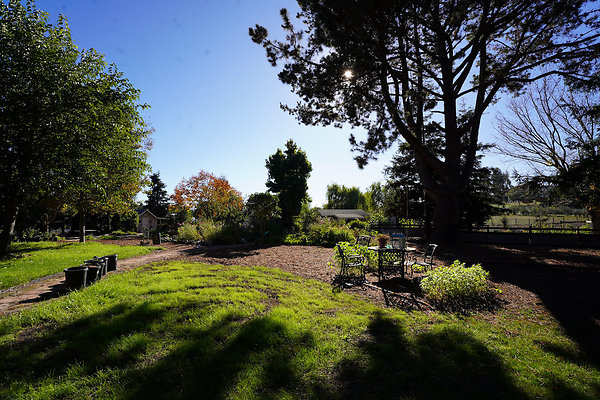 barichpetaluma - 44 barichpetaluma - 44