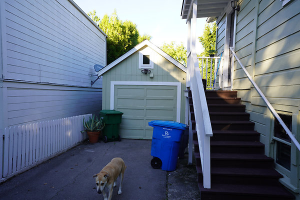 loughlinpetaluma - 40 loughlinpetaluma - 40