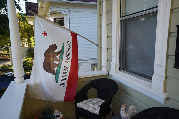 loughlinpetaluma - 10 loughlinpetaluma - 10