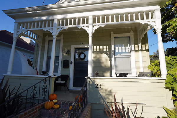 loughlinpetaluma - 9 loughlinpetaluma - 9