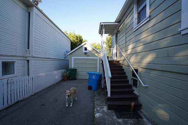 loughlinpetaluma - 41 loughlinpetaluma - 41