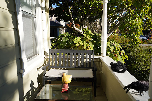 loughlinpetaluma - 11 loughlinpetaluma - 11