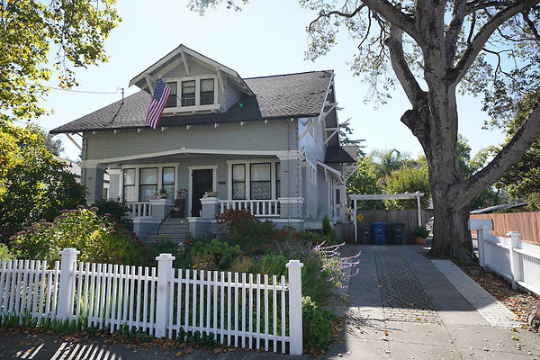 nelsonpetaluma - 3 nelsonpetaluma - 3