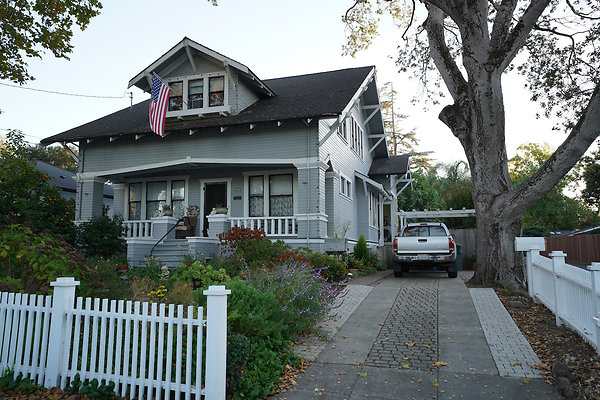 nelsonpetaluma - 7 nelsonpetaluma - 7