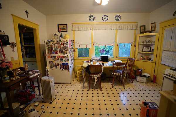 nelsonpetaluma - 23 nelsonpetaluma - 23