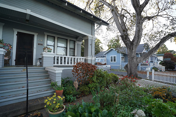 nelsonpetaluma - 12 nelsonpetaluma - 12