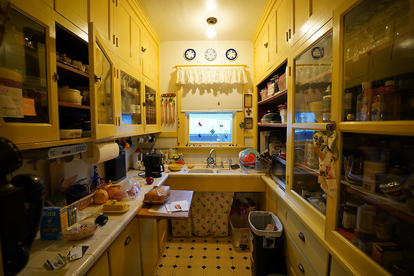 nelsonpetaluma - 25 nelsonpetaluma - 25