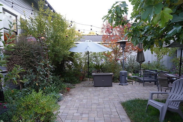 nelsonpetaluma - 39 nelsonpetaluma - 39