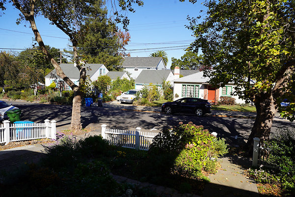 nelsonpetaluma - 5 nelsonpetaluma - 5