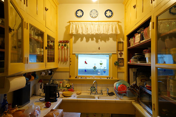 nelsonpetaluma - 26 nelsonpetaluma - 26