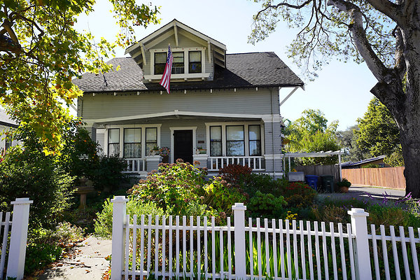 nelsonpetaluma - 2 nelsonpetaluma - 2