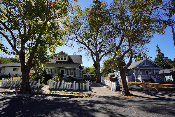 nelsonpetaluma - 6 nelsonpetaluma - 6