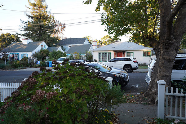 nelsonpetaluma - 11 nelsonpetaluma - 11