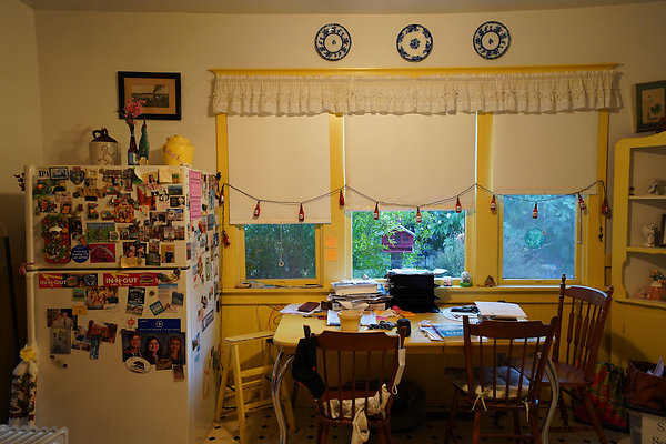 nelsonpetaluma - 22 nelsonpetaluma - 22