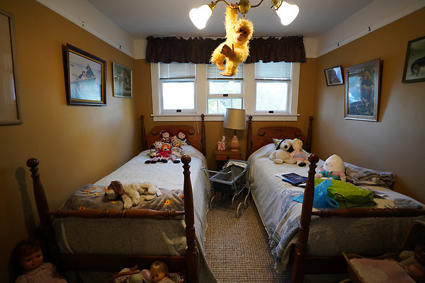 nelsonpetaluma - 35 nelsonpetaluma - 35