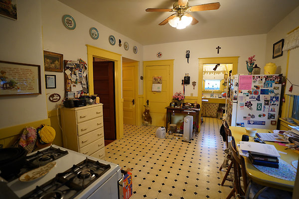 nelsonpetaluma - 37 nelsonpetaluma - 37