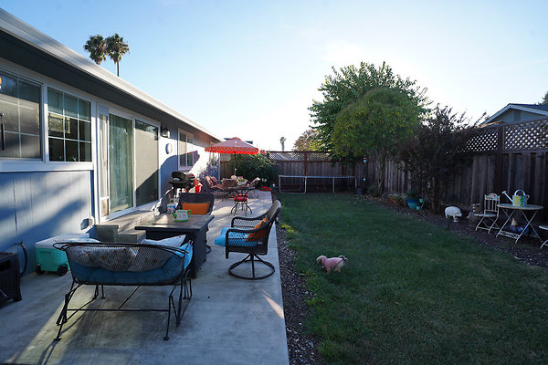 julietpetaluma - 39 julietpetaluma - 39