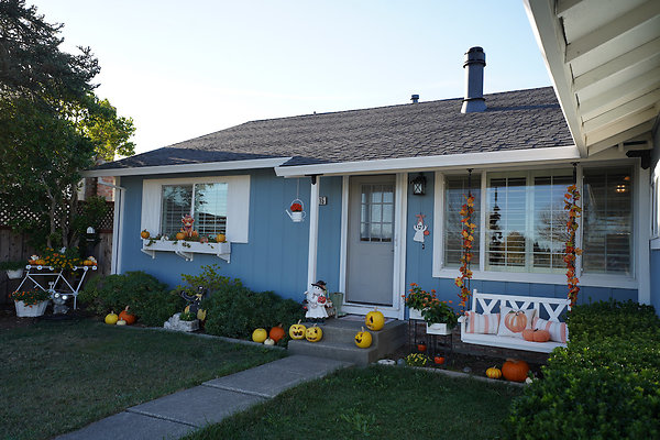 julietpetaluma - 7 julietpetaluma - 7