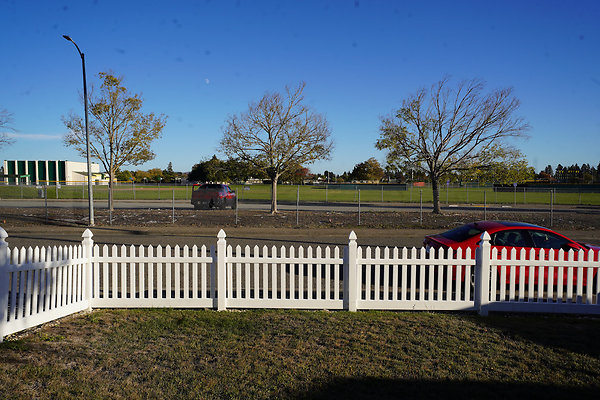 julietpetaluma - 8 julietpetaluma - 8