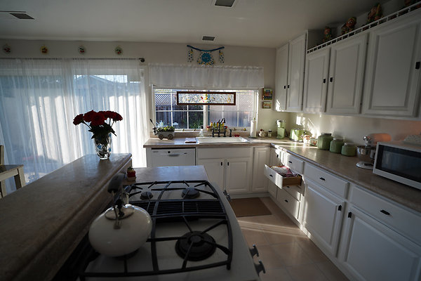 julietpetaluma - 19 julietpetaluma - 19