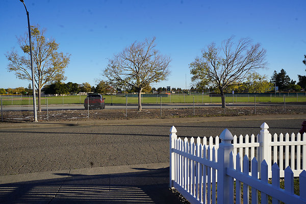 julietpetaluma - 6 julietpetaluma - 6