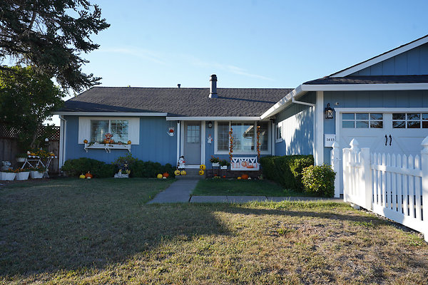 julietpetaluma - 3 julietpetaluma - 3