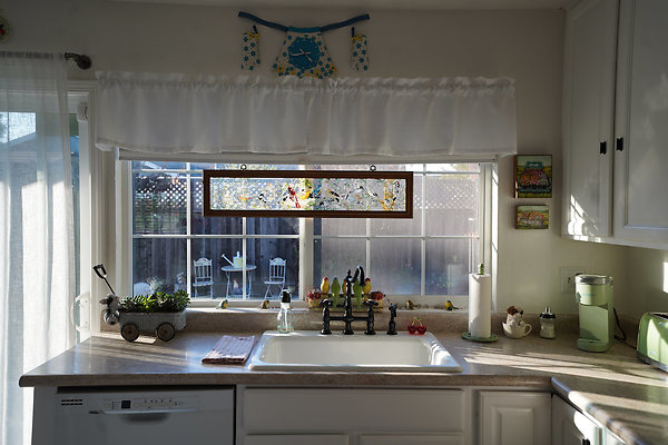 julietpetaluma - 20 julietpetaluma - 20