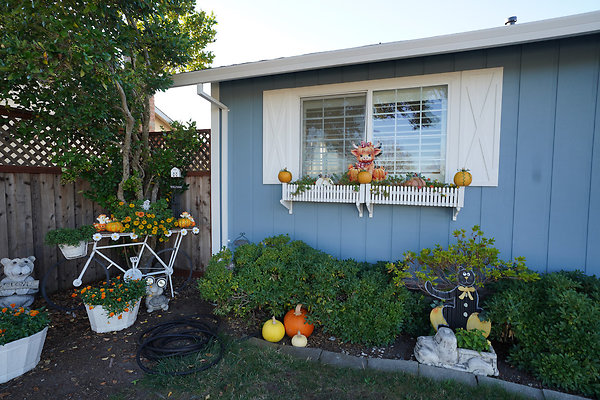 julietpetaluma - 44 julietpetaluma - 44