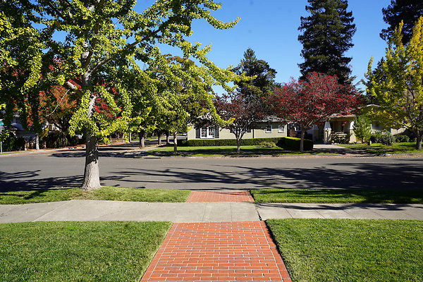 spring - 6 spring - 6