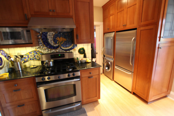 springsantarosa - 12 springsantarosa - 12