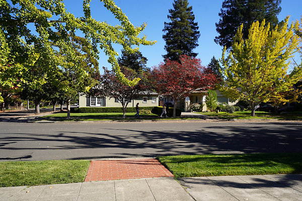 spring - 4 spring - 4