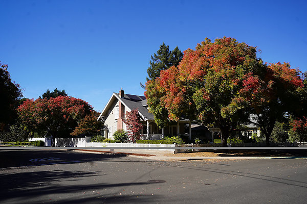 watkinssantarosa - 10