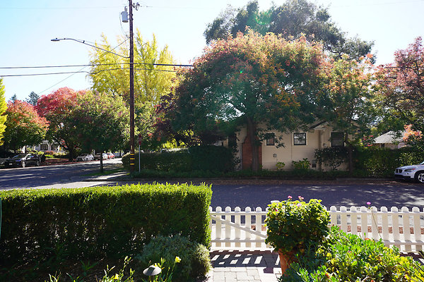 watkinssantarosa - 9